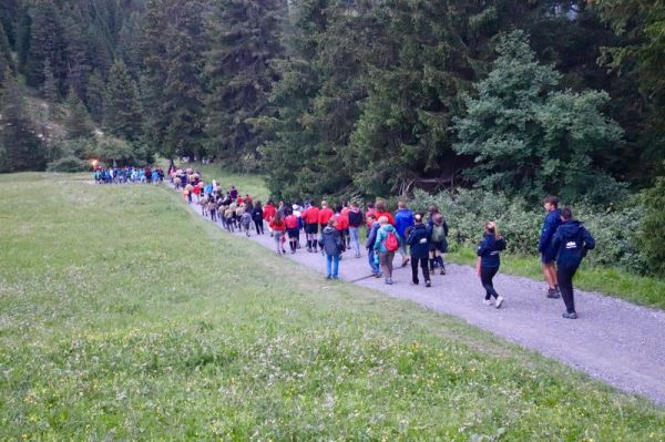 Clicca per vedere l'immagine alla massima grandezza