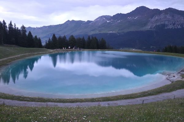 Clicca per vedere l'immagine alla massima grandezza