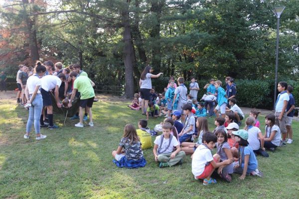 Clicca per vedere l'immagine alla massima grandezza