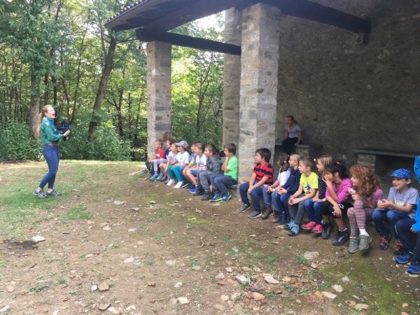 Clicca per vedere l'immagine alla massima grandezza
