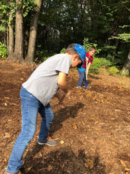 Clicca per vedere l'immagine alla massima grandezza