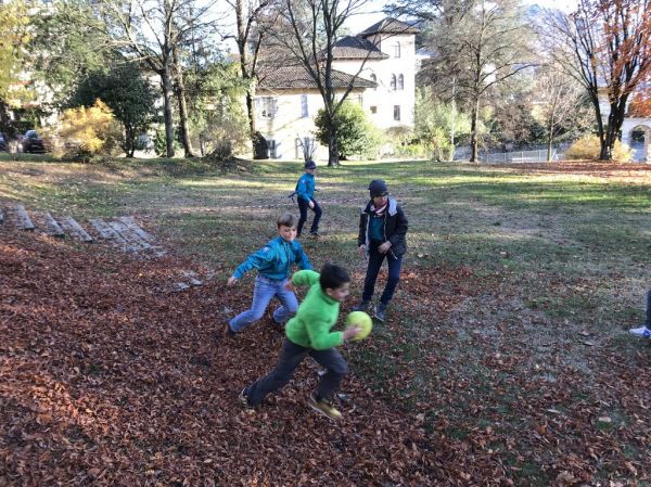 Clicca per vedere l'immagine alla massima grandezza