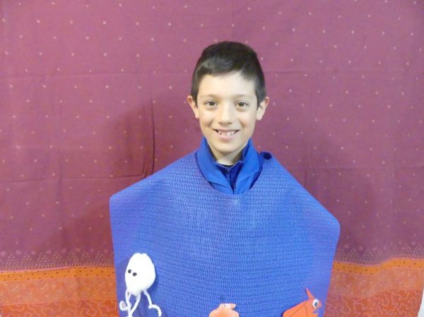 Clicca per vedere l'immagine alla massima grandezza