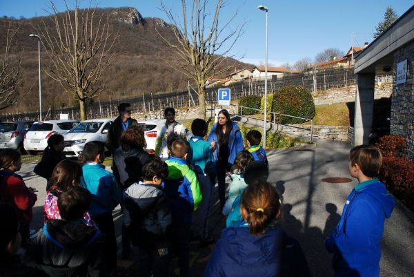 Clicca per vedere l'immagine alla massima grandezza