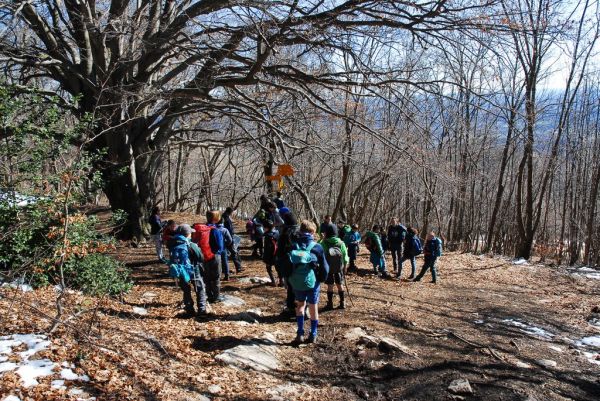 Clicca per vedere l'immagine alla massima grandezza