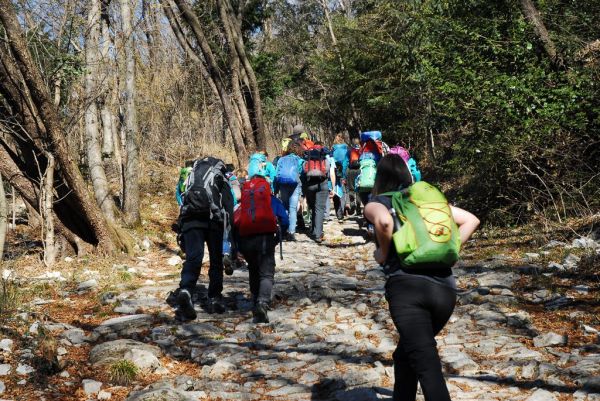 Clicca per vedere l'immagine alla massima grandezza