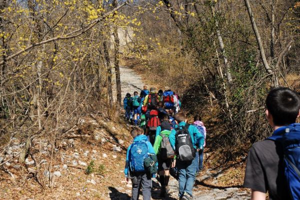 Clicca per vedere l'immagine alla massima grandezza