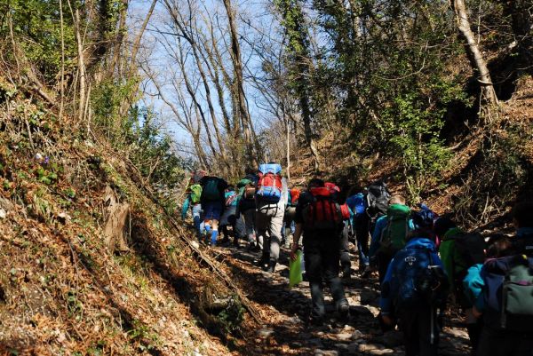 Clicca per vedere l'immagine alla massima grandezza