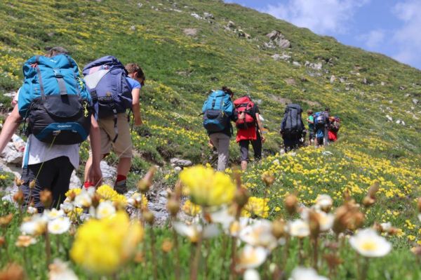 Clicca per vedere l'immagine alla massima grandezza