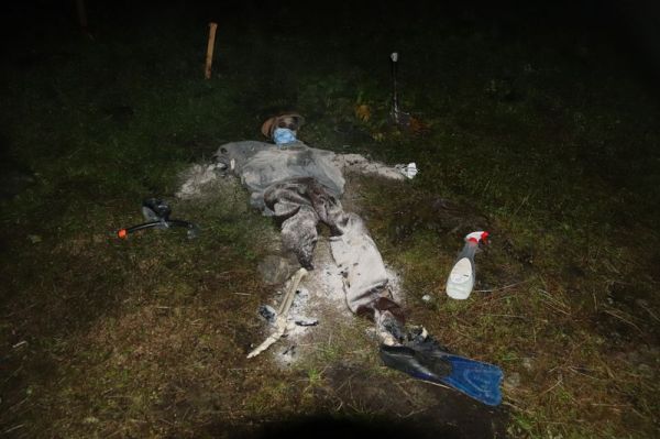 Clicca per vedere l'immagine alla massima grandezza