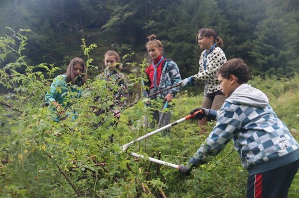 Clicca per vedere l'immagine alla massima grandezza