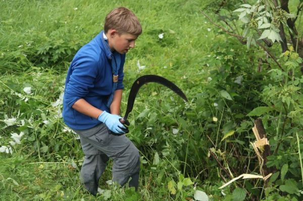 Clicca per vedere l'immagine alla massima grandezza