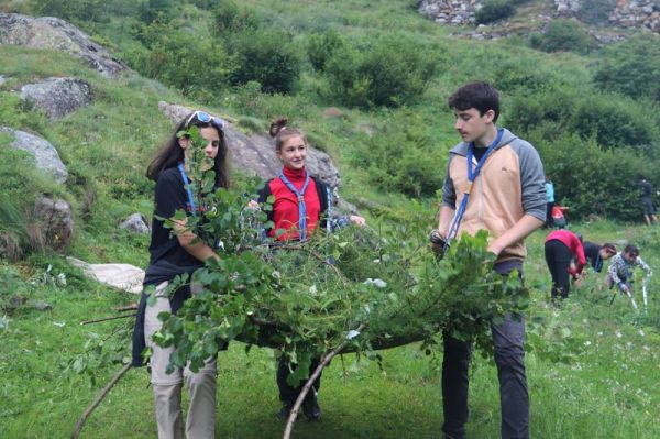 Clicca per vedere l'immagine alla massima grandezza