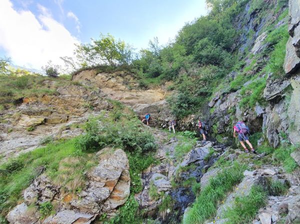 Clicca per vedere l'immagine alla massima grandezza