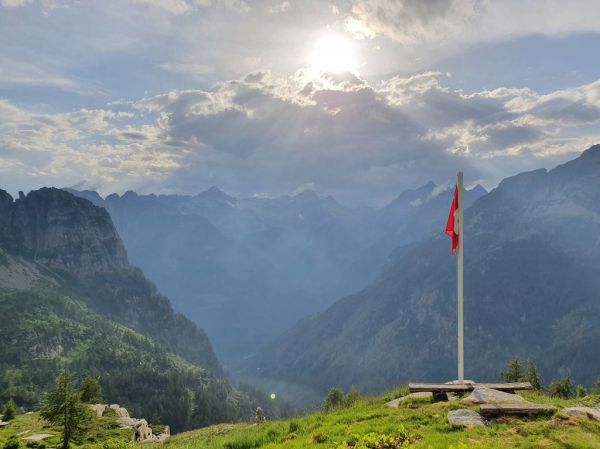Clicca per vedere l'immagine alla massima grandezza