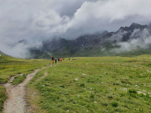 Clicca per vedere l'immagine alla massima grandezza