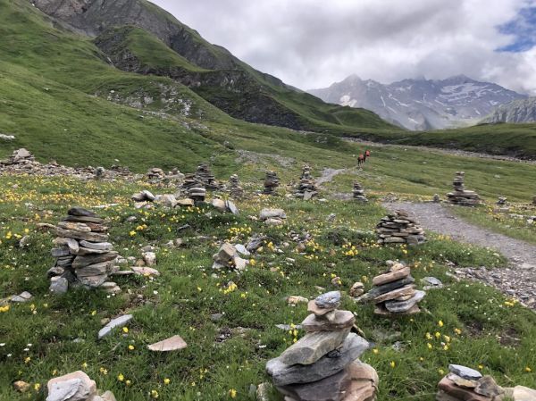 Clicca per vedere l'immagine alla massima grandezza