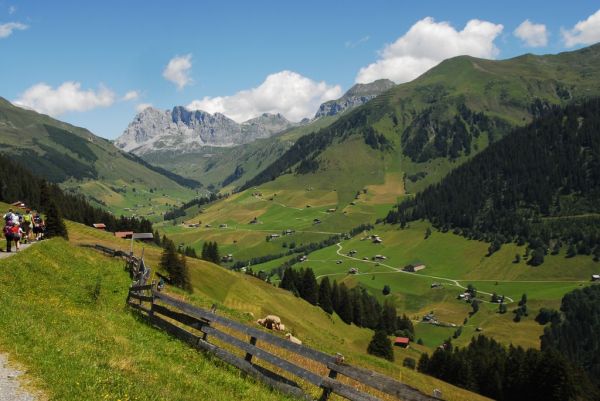 Clicca per vedere l'immagine alla massima grandezza