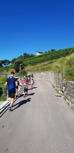 Clicca per vedere l'immagine alla massima grandezza