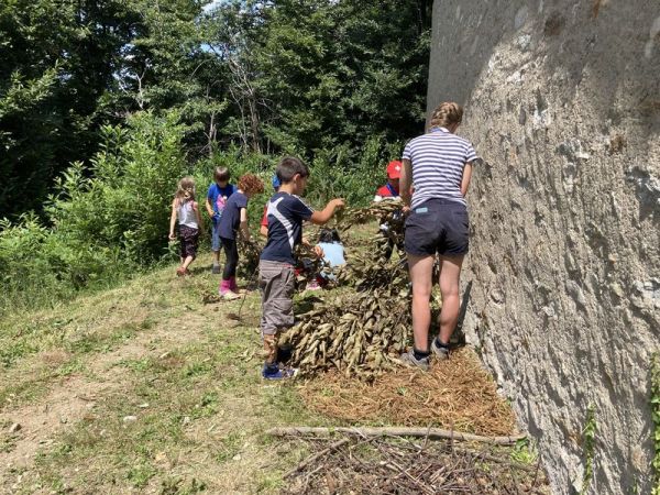 Clicca per vedere l'immagine alla massima grandezza