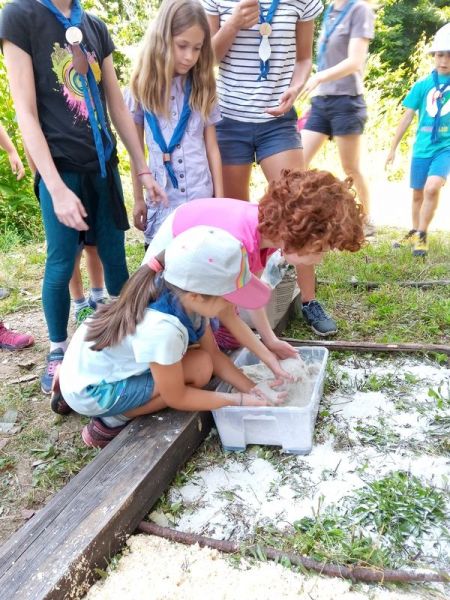 Clicca per vedere l'immagine alla massima grandezza