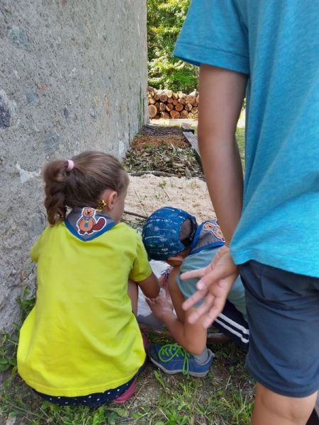 Clicca per vedere l'immagine alla massima grandezza