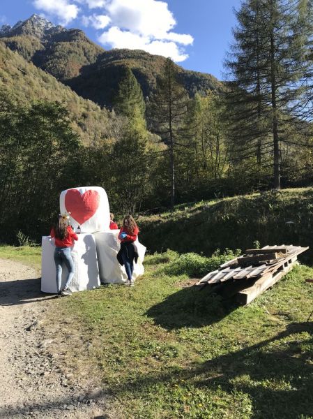 Clicca per vedere l'immagine alla massima grandezza