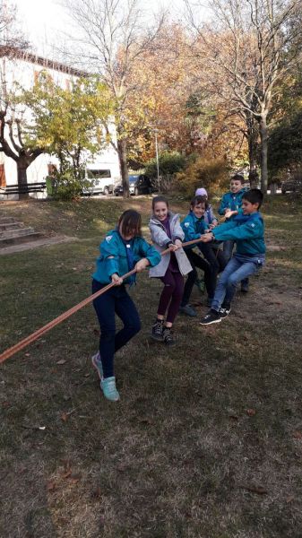 Clicca per vedere l'immagine alla massima grandezza