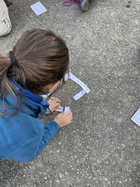 Clicca per vedere l'immagine alla massima grandezza