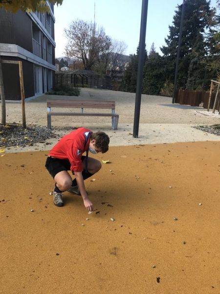Clicca per vedere l'immagine alla massima grandezza