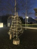 201212_PIO_AttivitaNovembreDicembre_019.jpg