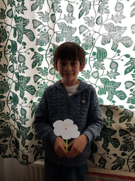 Clicca per vedere l'immagine alla massima grandezza