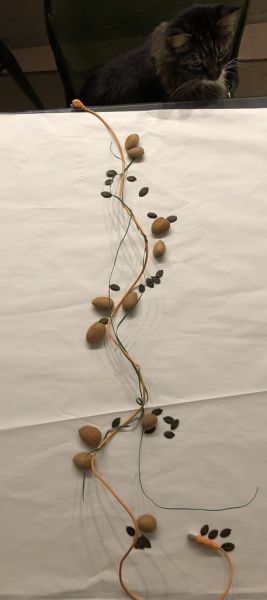 Clicca per vedere l'immagine alla massima grandezza