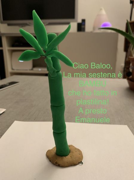 Clicca per vedere l'immagine alla massima grandezza