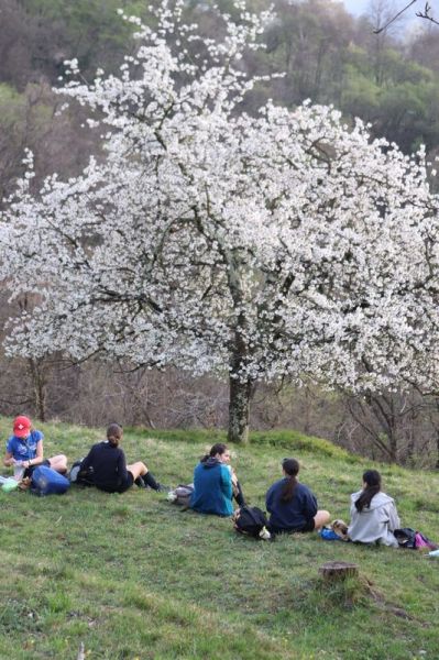 Clicca per vedere l'immagine alla massima grandezza