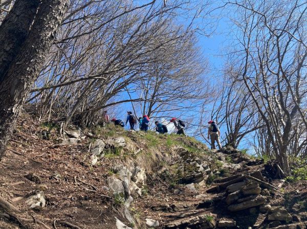 Clicca per vedere l'immagine alla massima grandezza