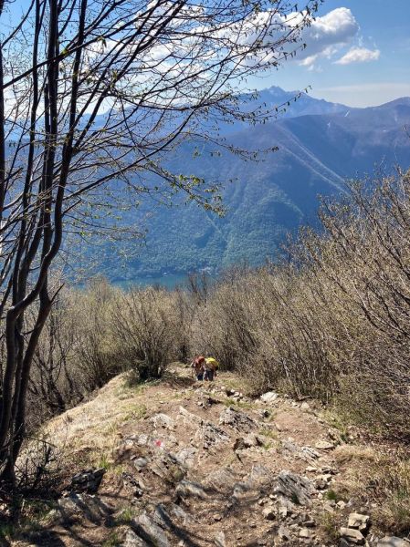 Clicca per vedere l'immagine alla massima grandezza