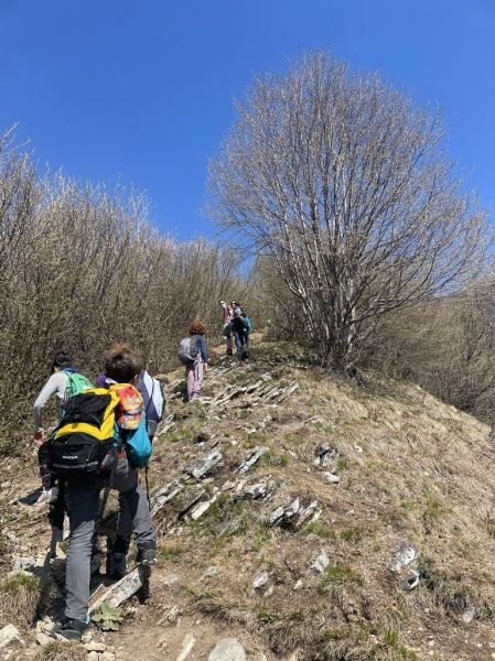 Clicca per vedere l'immagine alla massima grandezza
