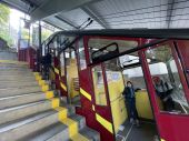 210417_LUPI_EscursioneBoglia_015.jpeg