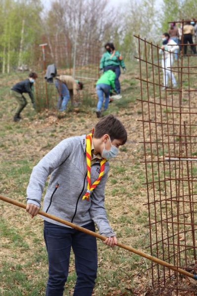 Clicca per vedere l'immagine alla massima grandezza