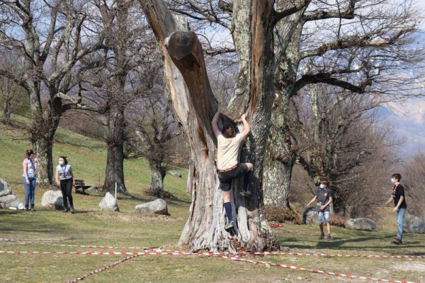Clicca per vedere l'immagine alla massima grandezza
