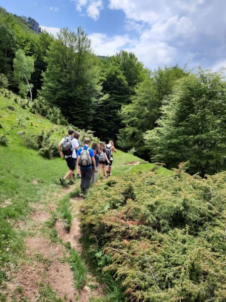 Clicca per vedere l'immagine alla massima grandezza