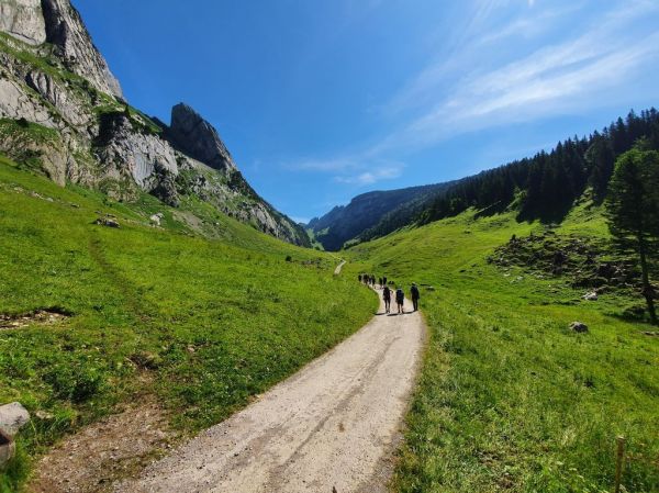 Clicca per vedere l'immagine alla massima grandezza