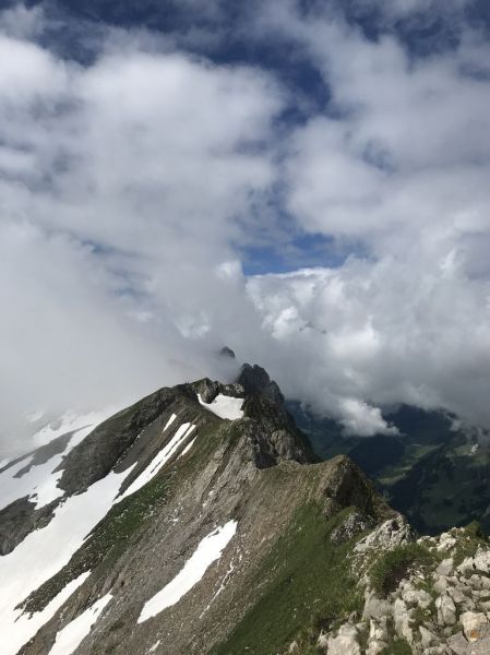 Clicca per vedere l'immagine alla massima grandezza