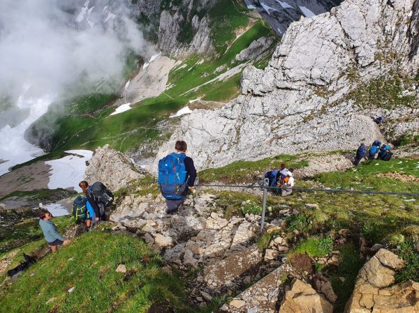 Clicca per vedere l'immagine alla massima grandezza