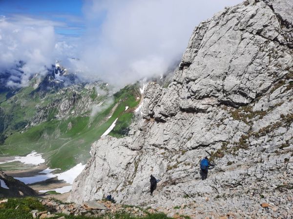 Clicca per vedere l'immagine alla massima grandezza