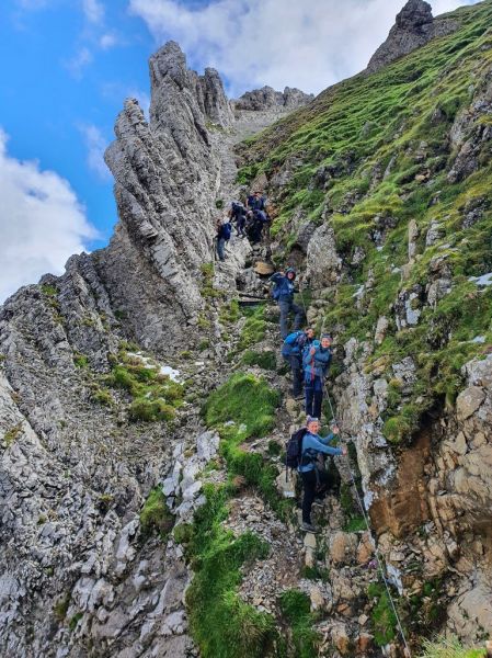 Clicca per vedere l'immagine alla massima grandezza