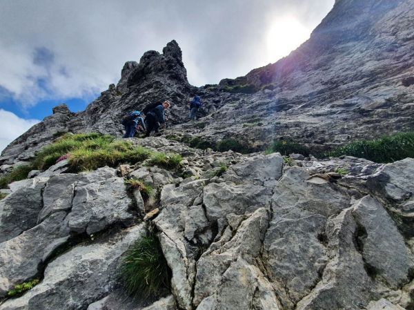 Clicca per vedere l'immagine alla massima grandezza