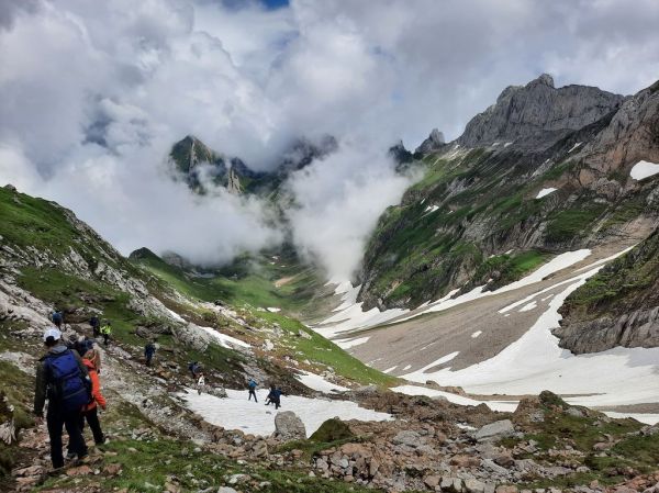 Clicca per vedere l'immagine alla massima grandezza