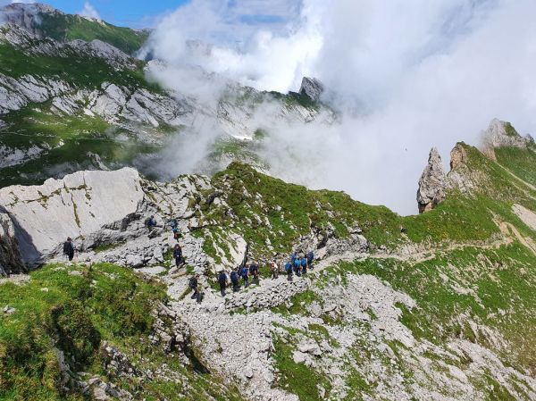 Clicca per vedere l'immagine alla massima grandezza